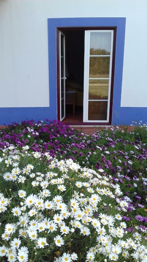 Monte Sol Ar Do Farol Otel Cavaleiro Dış mekan fotoğraf